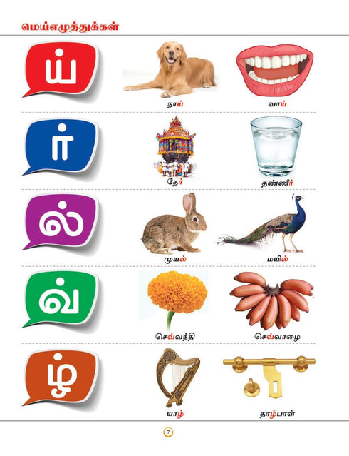 InIkao My First Board Book of Tamil Arichuvadi